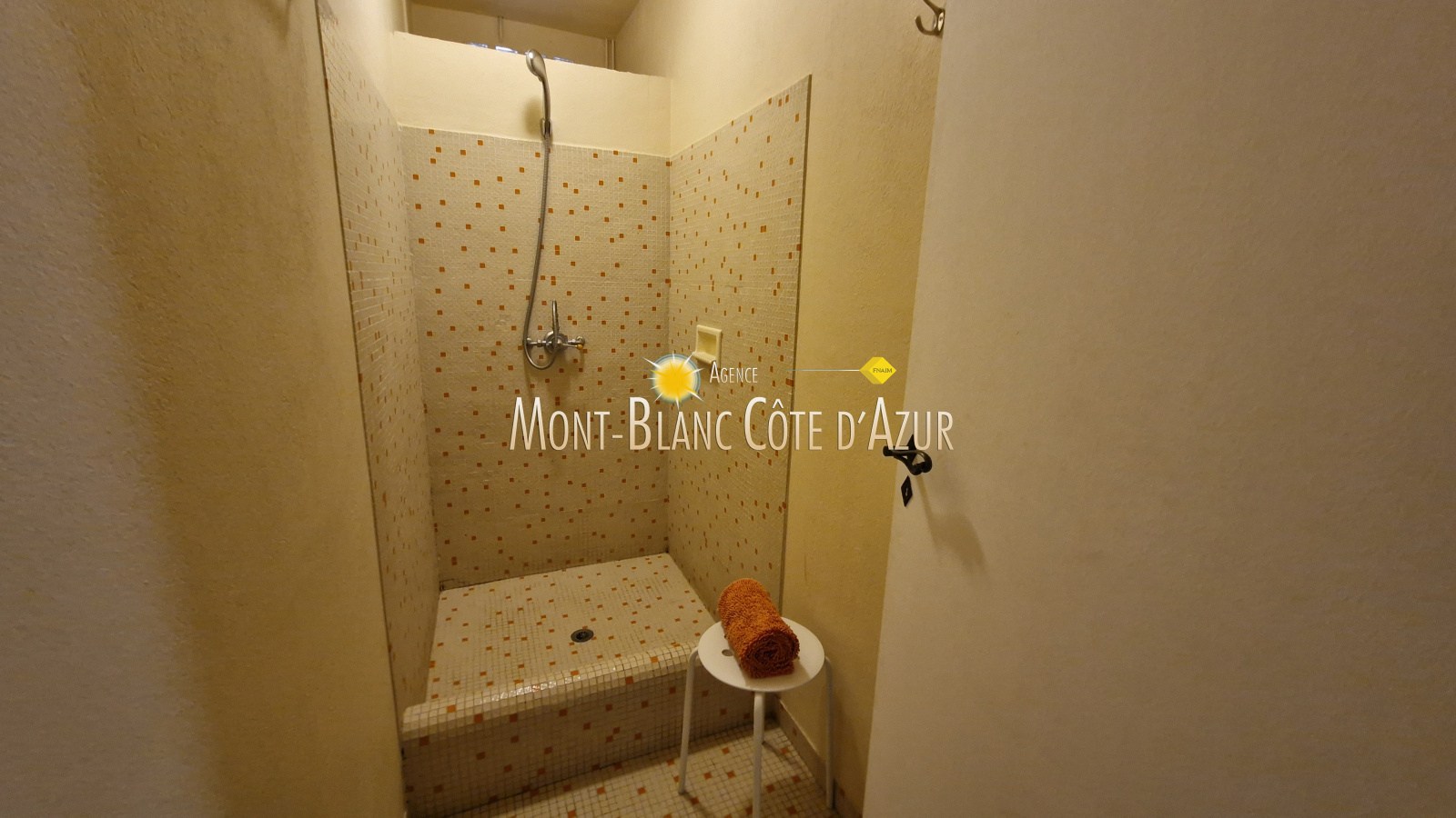 Image_50, Villa, Sainte-Maxime, ref :VILL 1023