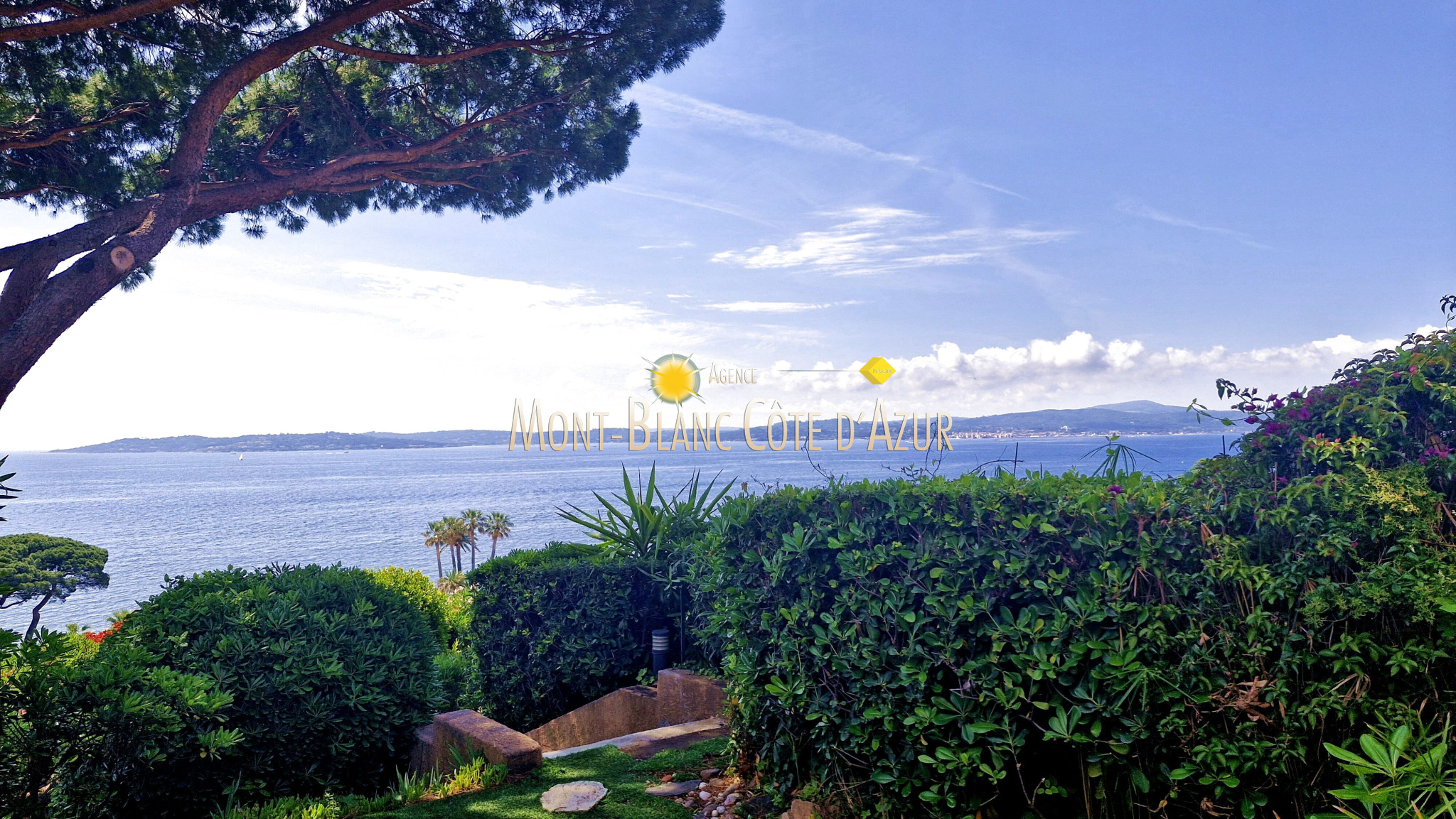 Agence immobilière de AGENCE MONT BLANC CÔTE D AZUR